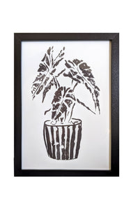 Monochrome Plant Art Print - Alocasia Amazonica